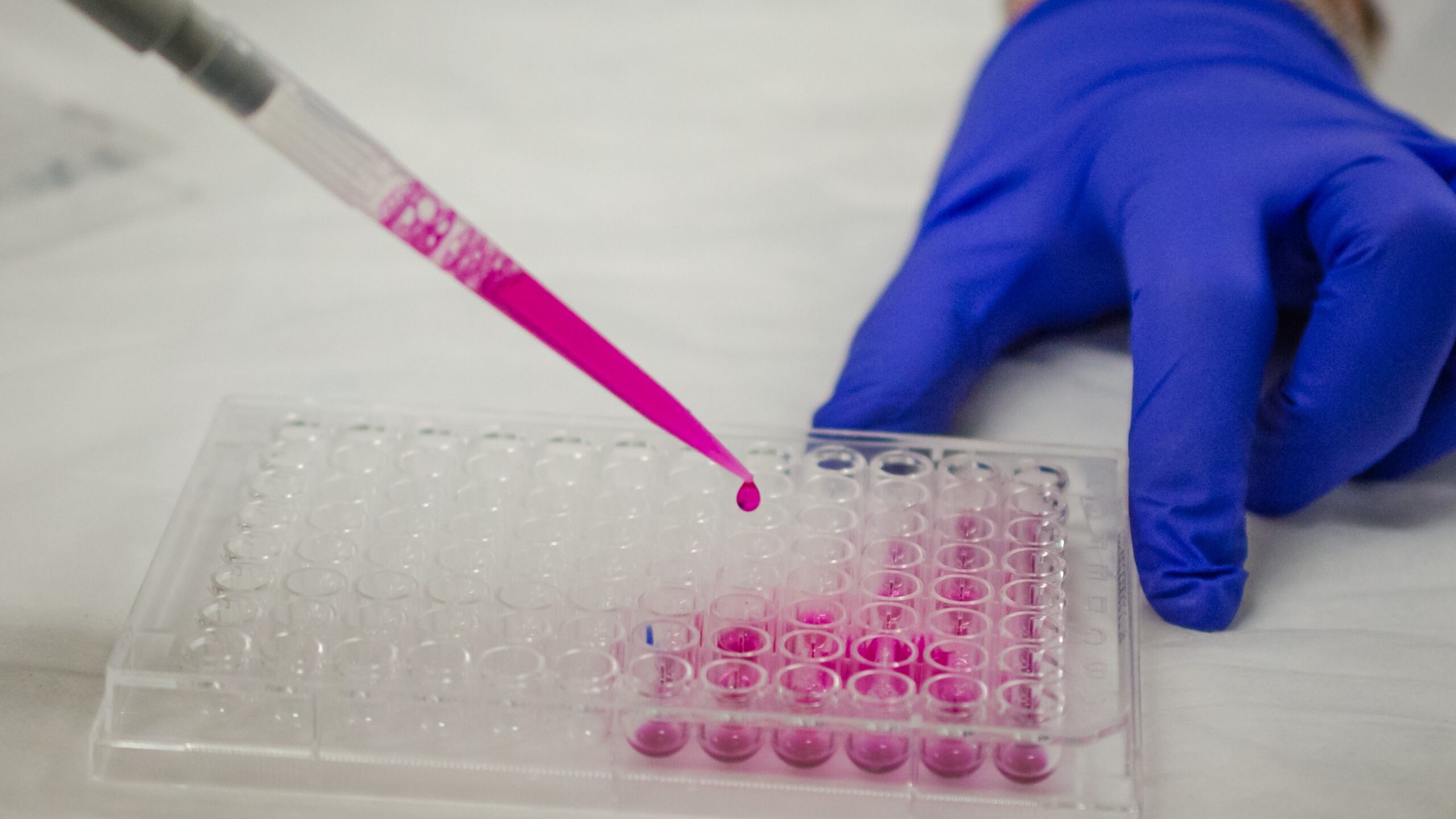 elisa test