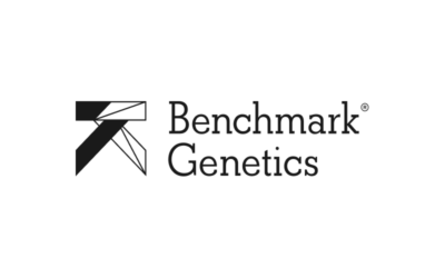 Benchmark Genetics logo