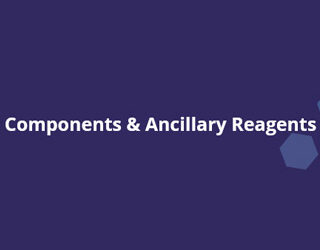Components & Ancillary Reagents