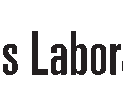 logo Bangs Laboratories