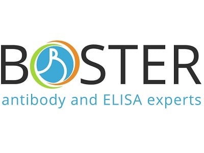 logo BosterBio