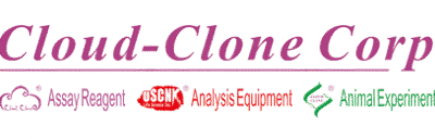 logo Cloud-Clone