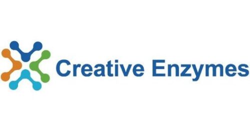 logo Creative Enzymes