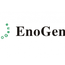 logo EnoGene