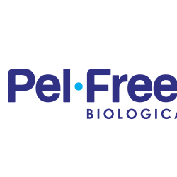 logo Pel-Freez