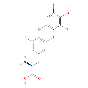 T4 (Thyroxine) ELISA test