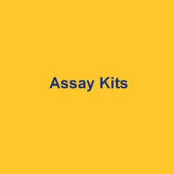 Abbexa Assay Kits