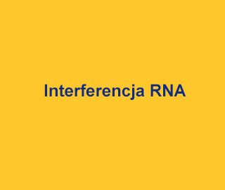 Abbexa Interferencja RNA