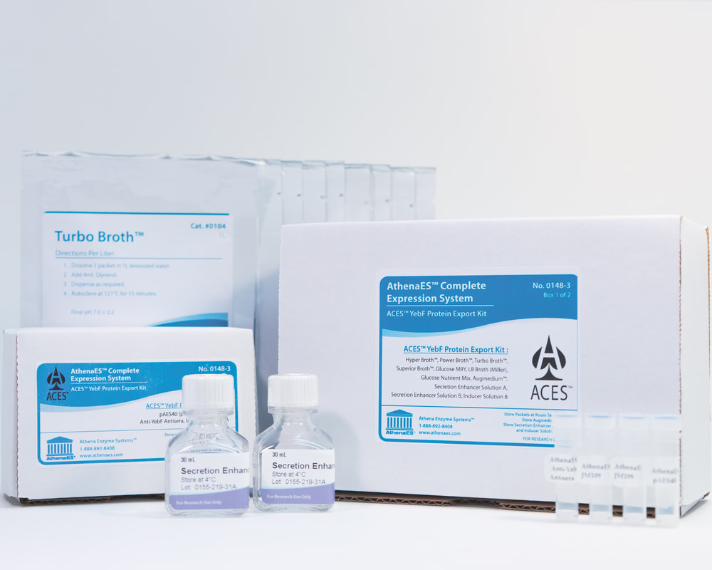 ACES™ YebF Protein Export Kit