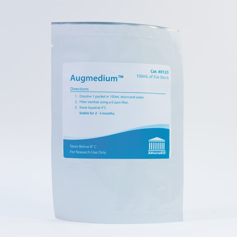 Augmedium™ ​