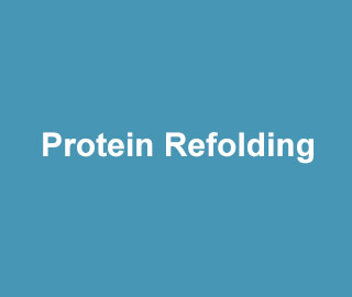 AthenaES Protein Refolding