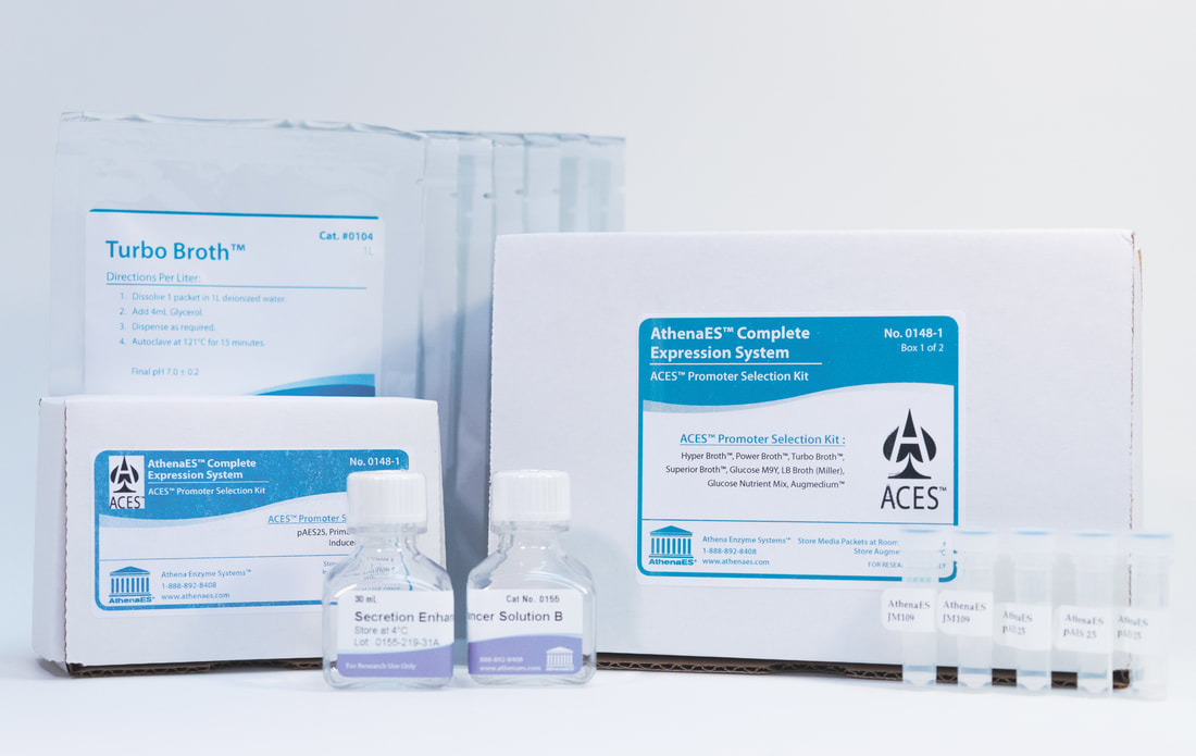 ​ACES™ Promoter Selection Kit