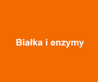 BioVision Bialka i Enzymy