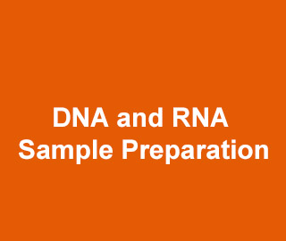 DNA and RNA Sample Preparation