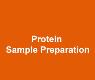 Protein Sample Preparation