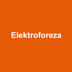 National Diagnostics Elektroforeza