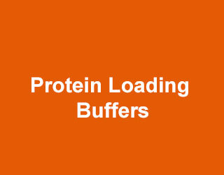National Diagnostics Elektroforeza Protein Loading Buffers