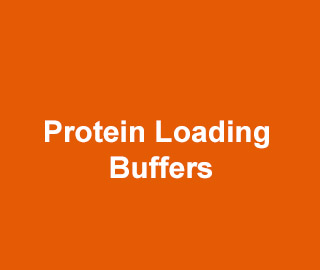 Protein Loading Buffers