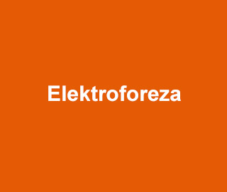 Elektroforeza