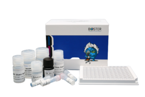 Oxycodone ELISA
