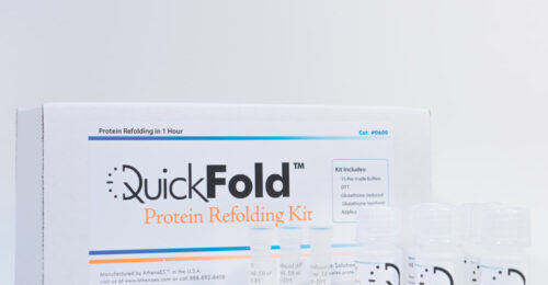 AthenaES QuickFold™ Protein Refolding Kit & Buffers