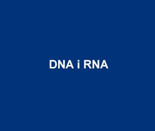 AATBio DNA i RNA