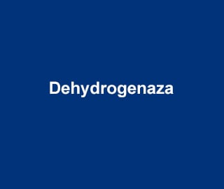 Dehydrogenaza