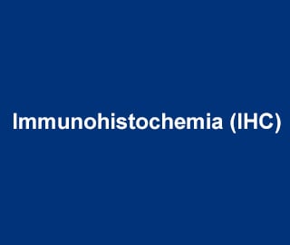 Immunohistochemia (IHC)