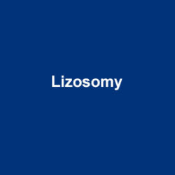 AATBio Lizosomy