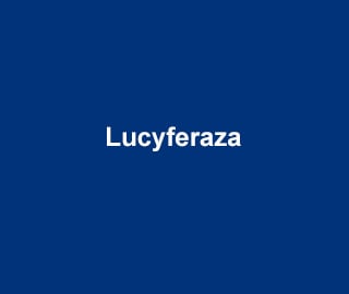 Lucyferaza
