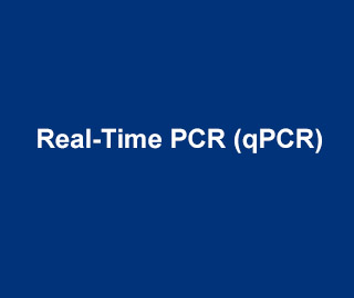 AATBio Real-Time PCR (qPCR)