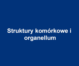 Struktury komórkowe i organellum