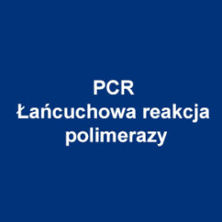 AATBio Łańcuchowa reakcja polimerazy (PCR)