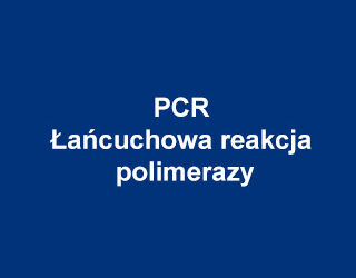 AATBio Łańcuchowa reakcja polimerazy (PCR)