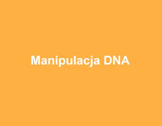 ABclonal Manipulacja DNA