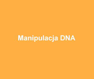 Manipulacja DNA