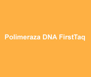 Polimeraza DNA FirstTaq