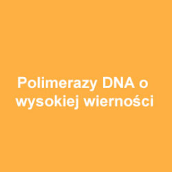ABclonal Polimerazy DNA o wysokiej wierności