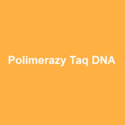 ABclonal Polimerazy Taq DNA
