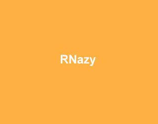 ABclonal RNazy