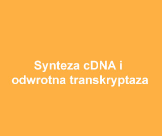 Synteza cDNA i odwrotna transkryptaza