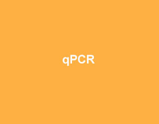 ABclonal qPCR