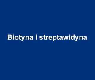 Biotyna i streptawidyna