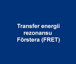 AATBio Transfer energii rezonansu Förstera (FRET)
