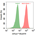 Analiza cytometryczna przepływu komórek HL-60 barwionych (czerwono) lub bez (zielono) 1ug/ml anty-ludzkim HLA-ABC-Biotyną, a następnie koniugatem mFluor™ Blue 570 ze streptawidyną (nr kat. 16935).