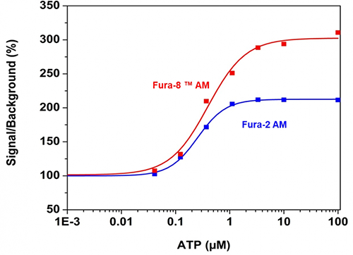 ATP Odpowiedź na dawkę w komórkach CHO-K1 mierzona za pomocą Fura-2 AM