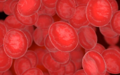 Czym jest hemoglobina?