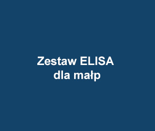 Zestaw ELISA dla małpy
