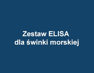 Sunred Zestaw ELISA dla świnki morskiej