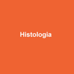 ABM Histologia